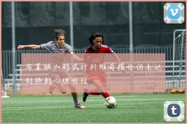 布莱顿加码武什科维奇报价仍未达到热刺心理价位