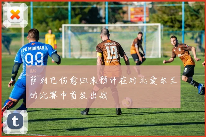 萨利巴伤愈归来预计在对北爱尔兰的比赛中首发出战